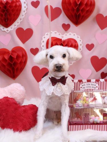 20240203まろんくん 